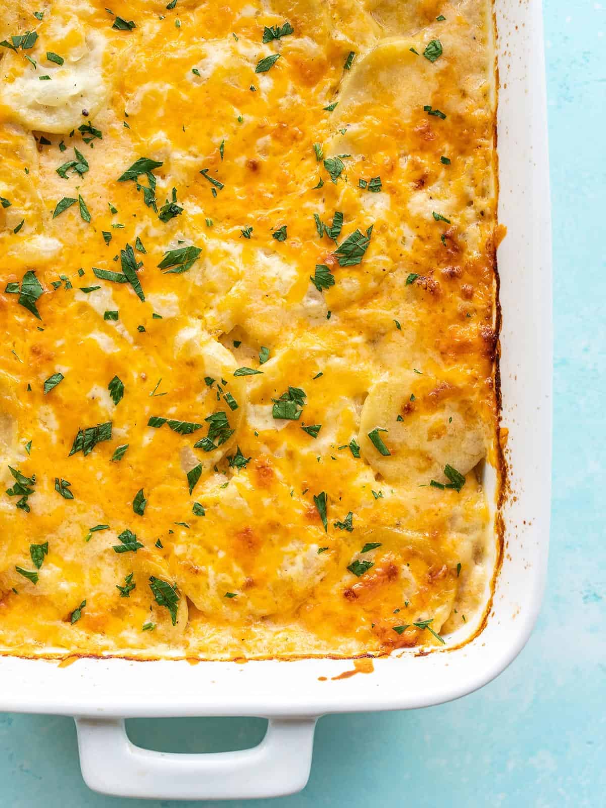 Close up overhead view of a casserole dish full of potatoes au gratin garnished with parsley.