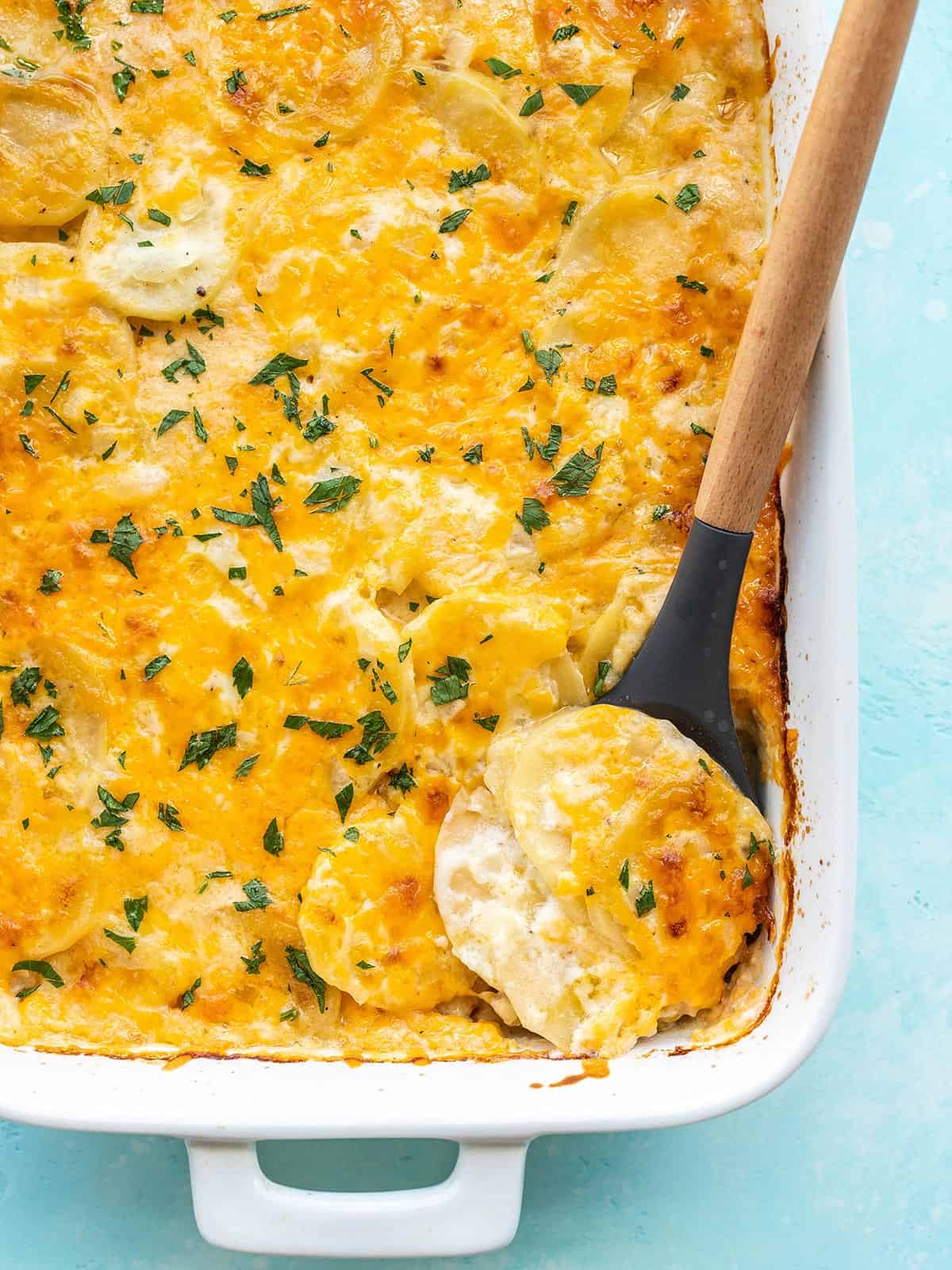 Close up overhead view of potatoes au gratin being scooped out of the casserole dish.