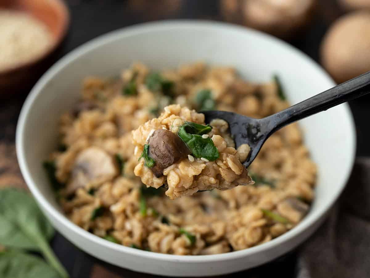 Close up of a spoonful of savory oats, the bowl in the background