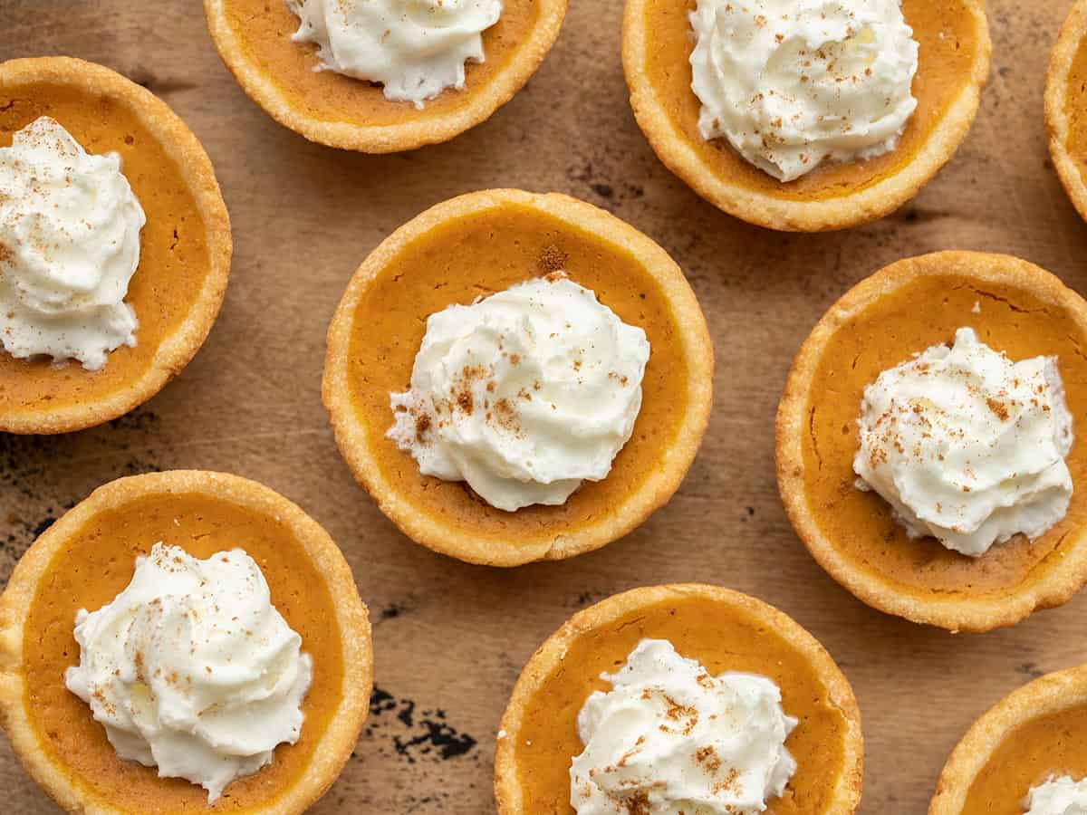 close up of mini pumpkin pies with whipped cream