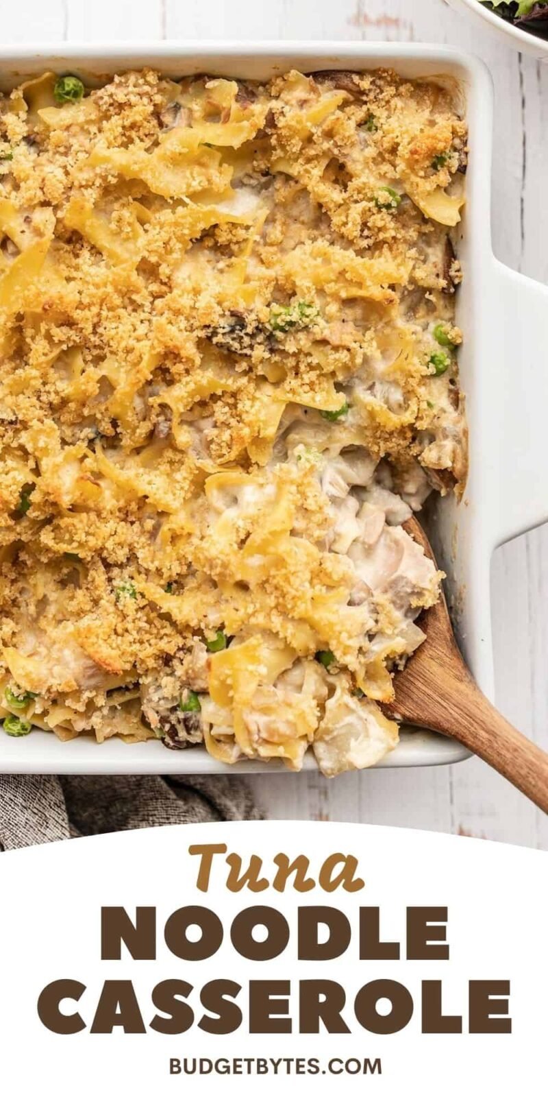 overhead view of a baking dish full of tuna noodle casserole