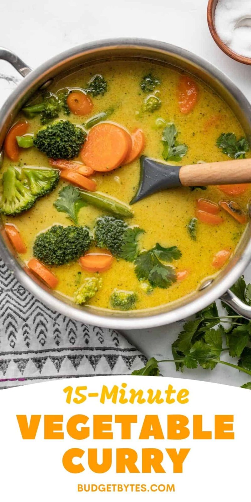 a pot of vegetable curry with title text at the bottom.