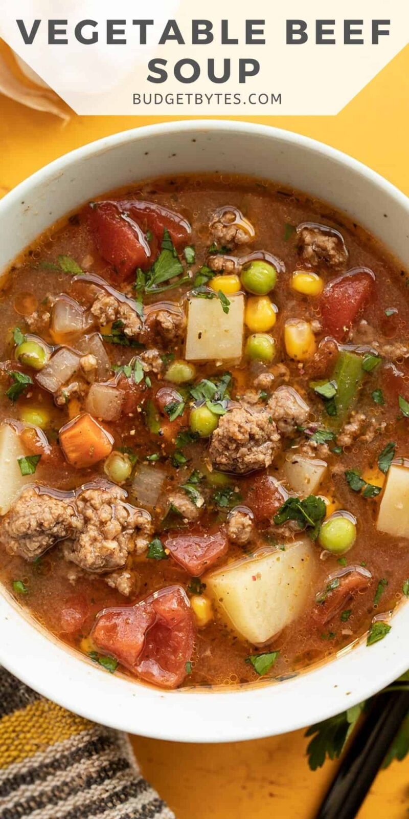 close up overhead view of a bowl of vegetable beef soup.