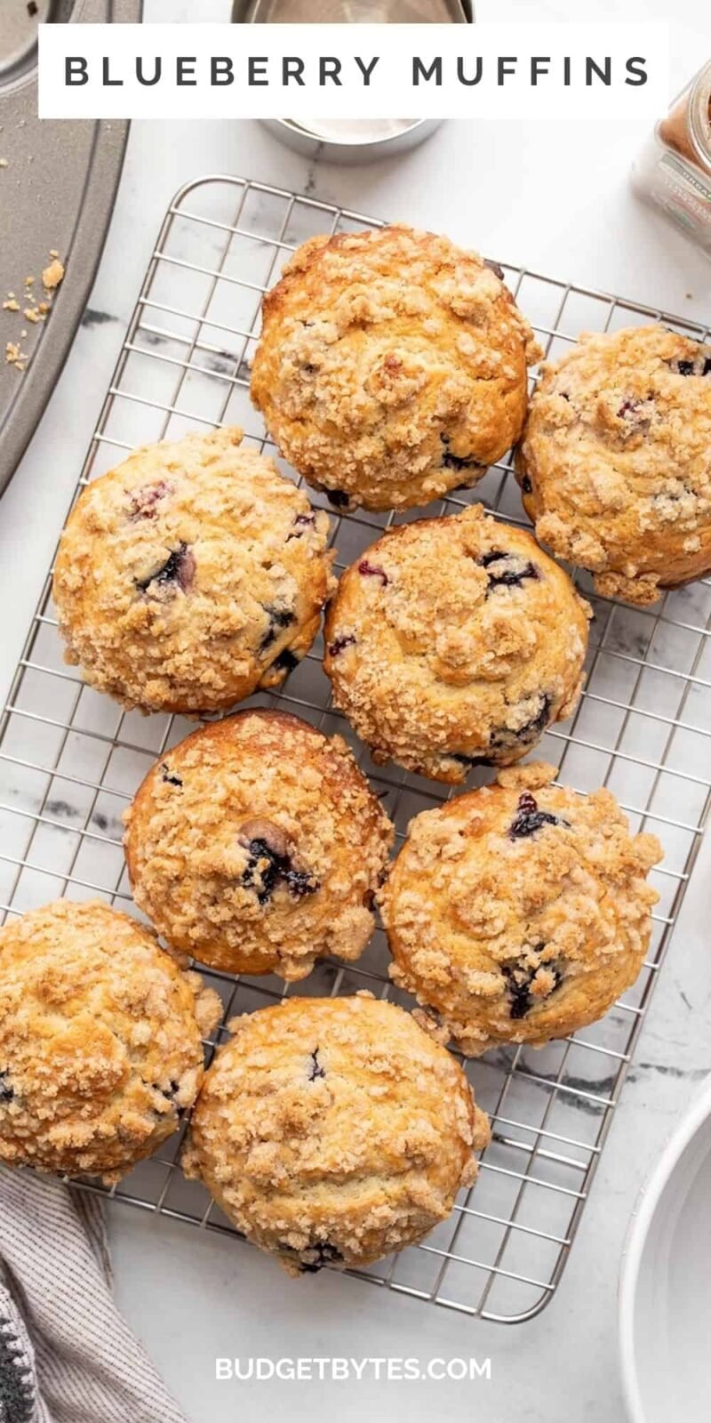 Overhead view of blueberry muffins on a wire cooling rack.