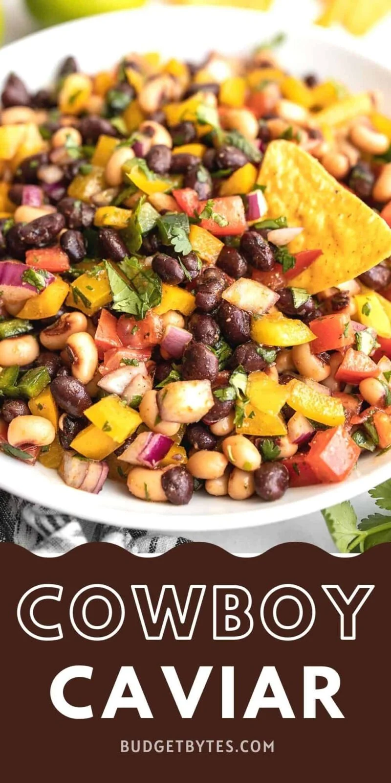 Close up side view of a bowl of cowboy caviar with a chip.