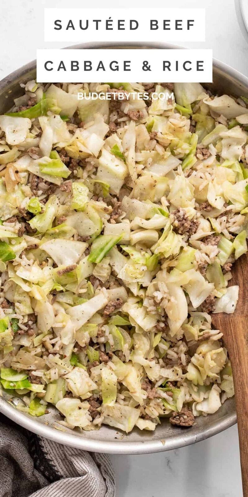 Overhead view of beef, cabbage, and rice in a skillet.