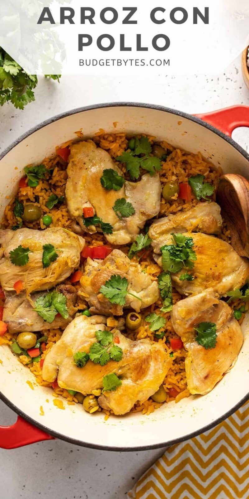 Arroz con Pollo in a red Dutch oven.