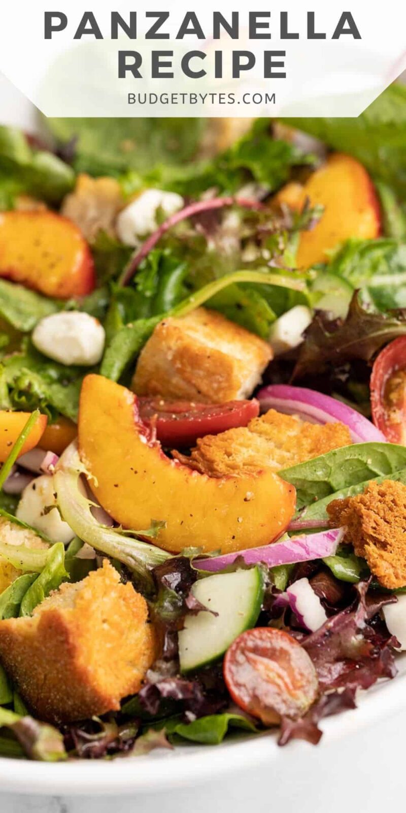 Forty-five degree shot of panzanella salad in a white bowl.