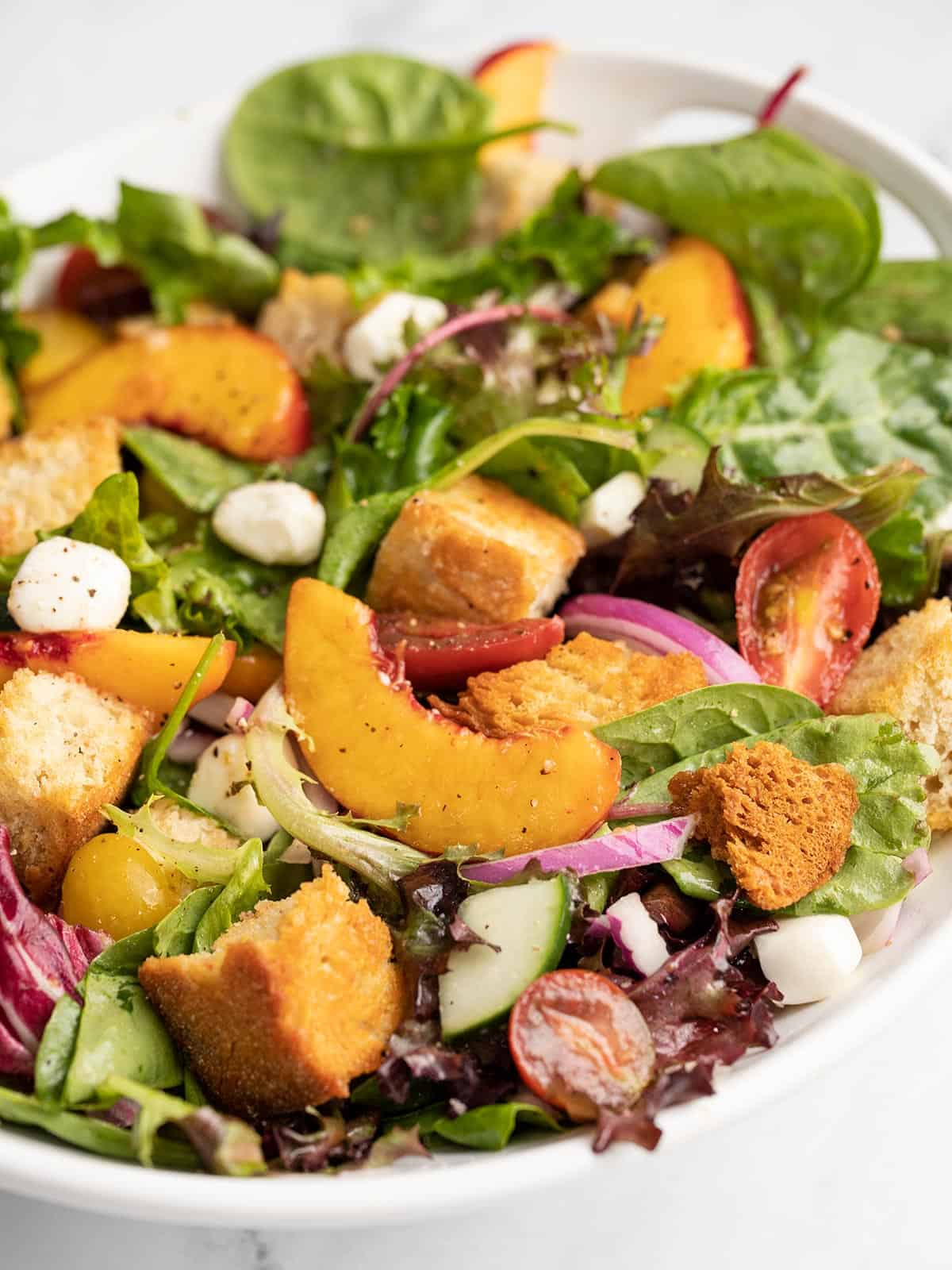 Side view of panzanella salad in a white bowl.