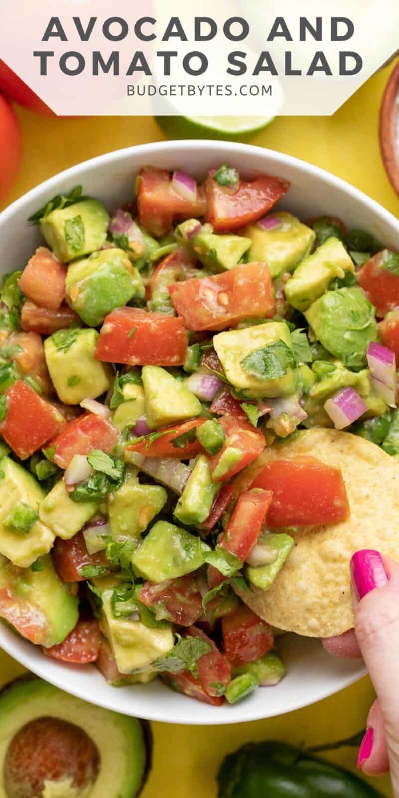 A chip being dipped into a bowl of avocado and tomato salad, title text at the top.