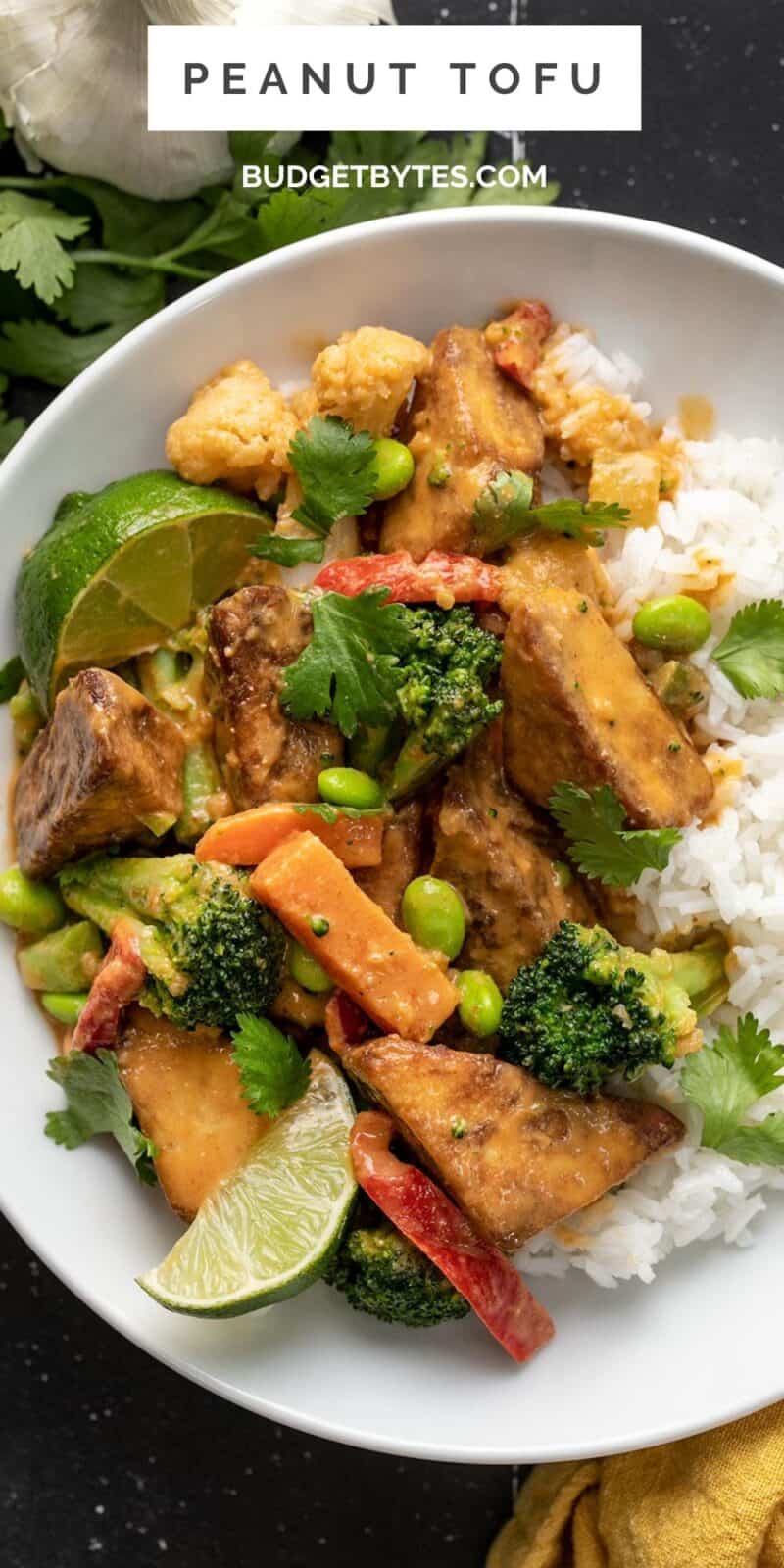 Close up overhead view of a peanut tofu bowl with title text at the top.