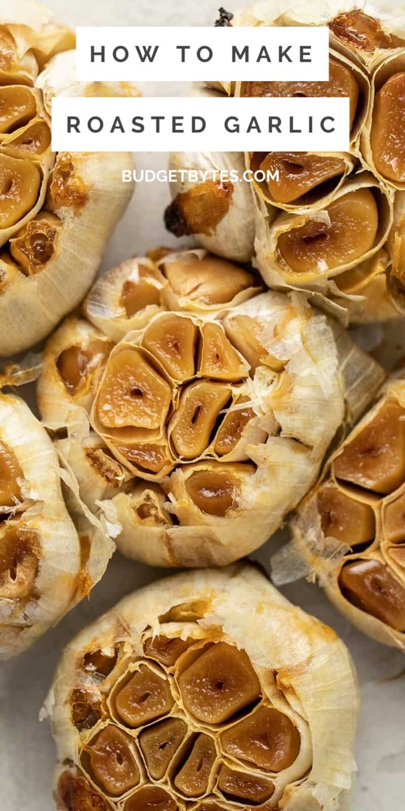 Close up overhead view of several heads of roasted garlic.