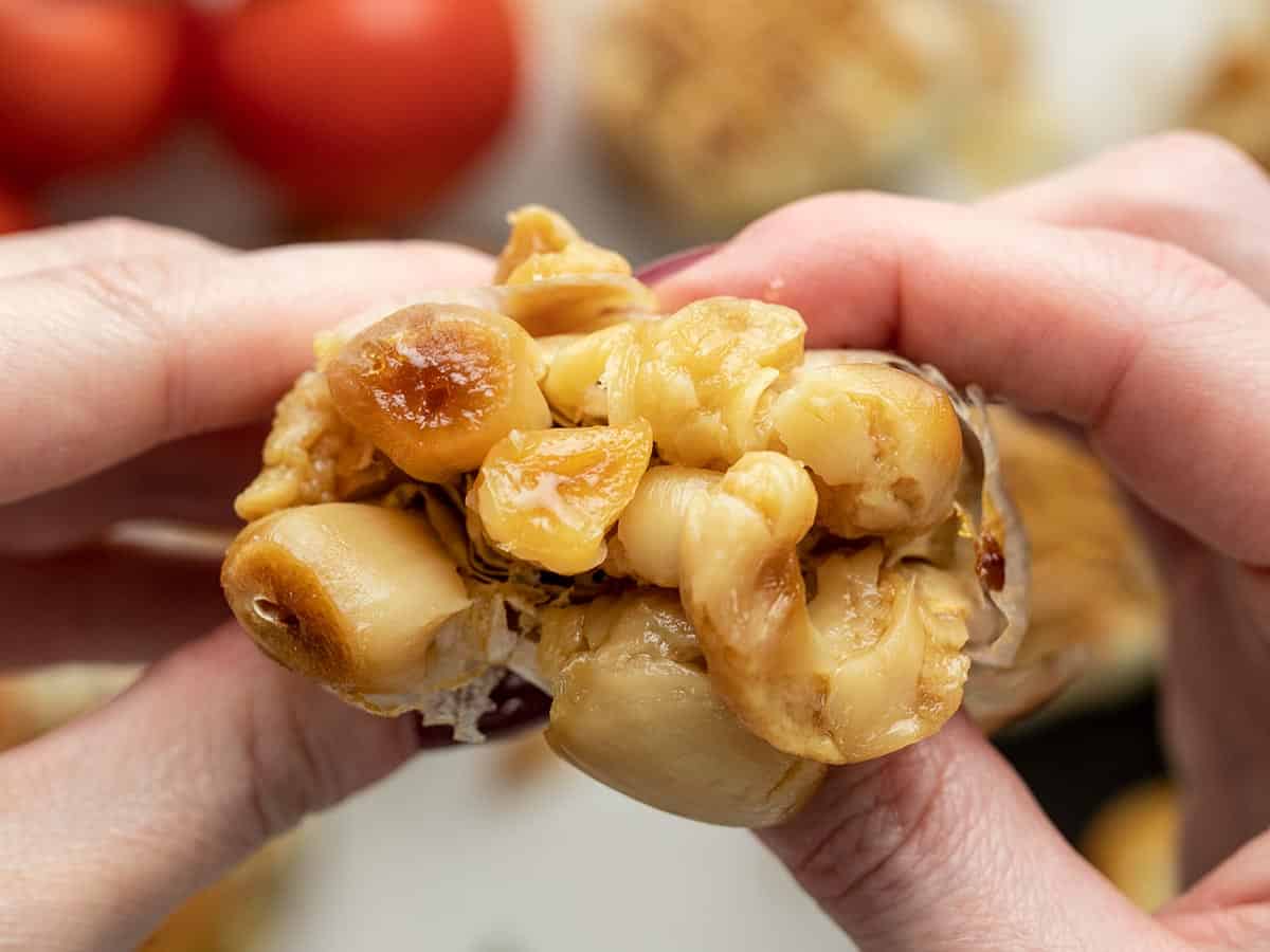 Roasted garlic being squeezed out of the skin.