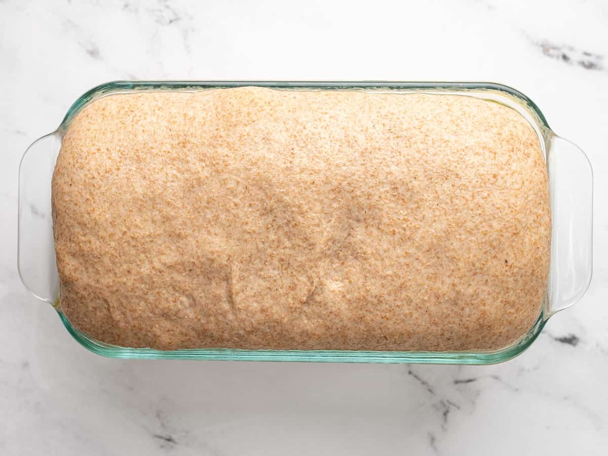 Risen bread in the bread pan.