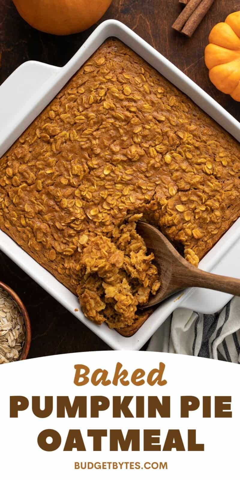 Baked pumpkin pie oatmeal being scooped out of a baking dish with a wooden spoon.