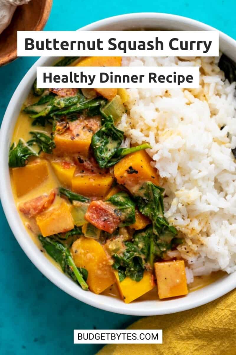 Close up overhead view of butternut squash curry in a bowl with rice.