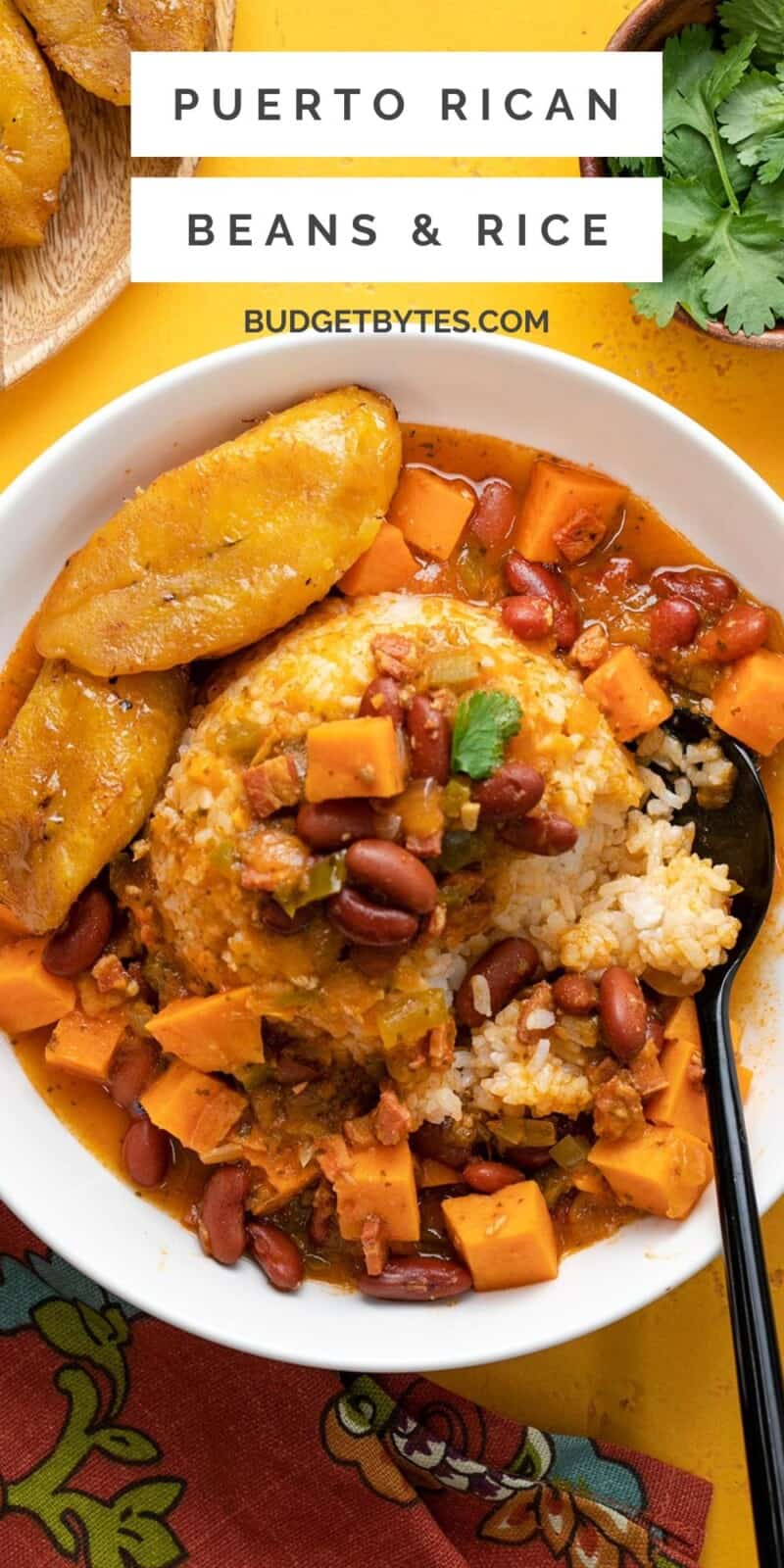 Overhead shot of a bowl of red beans and rice with a side of ripe plantain slices.