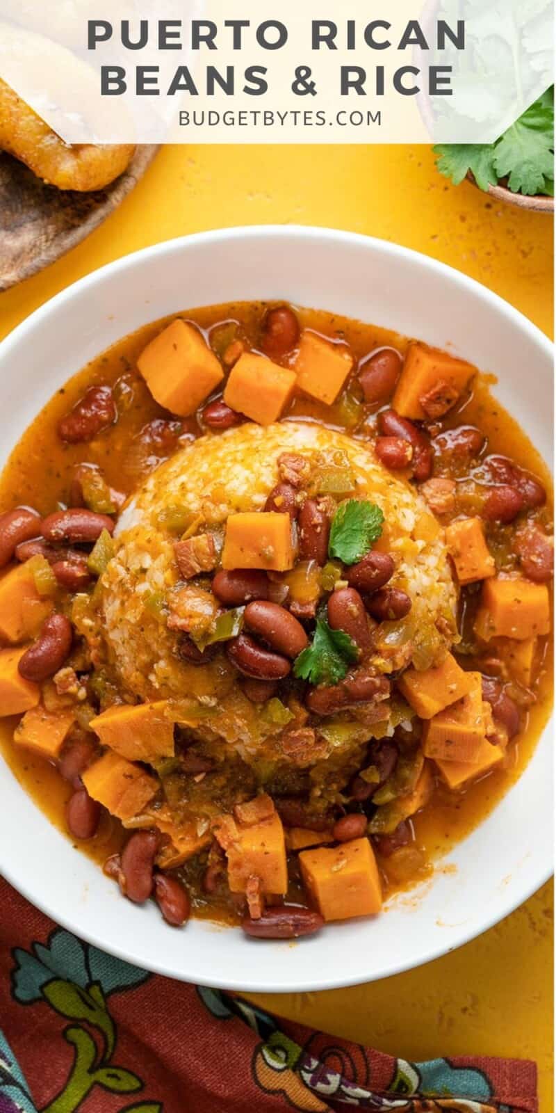 Overhead shot of a bowl of red beans and rice.