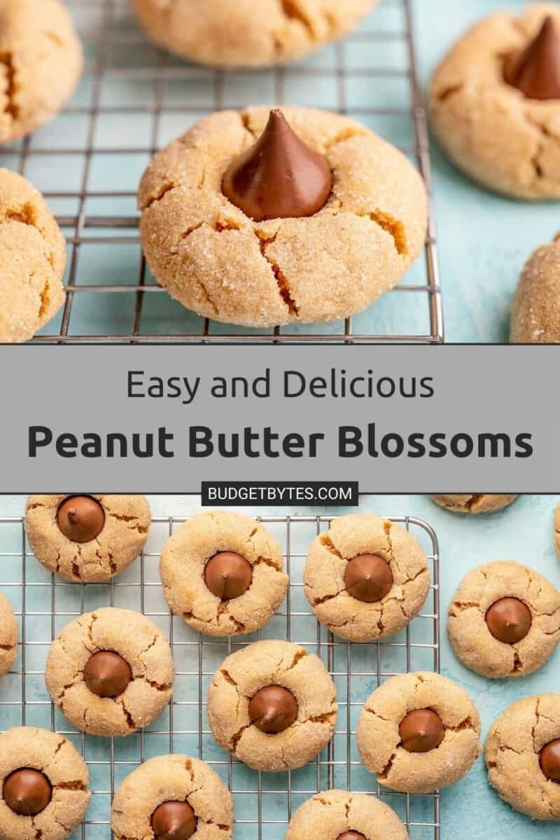 Two photos of peanut butter blossoms cooling on a wire cooling rack.