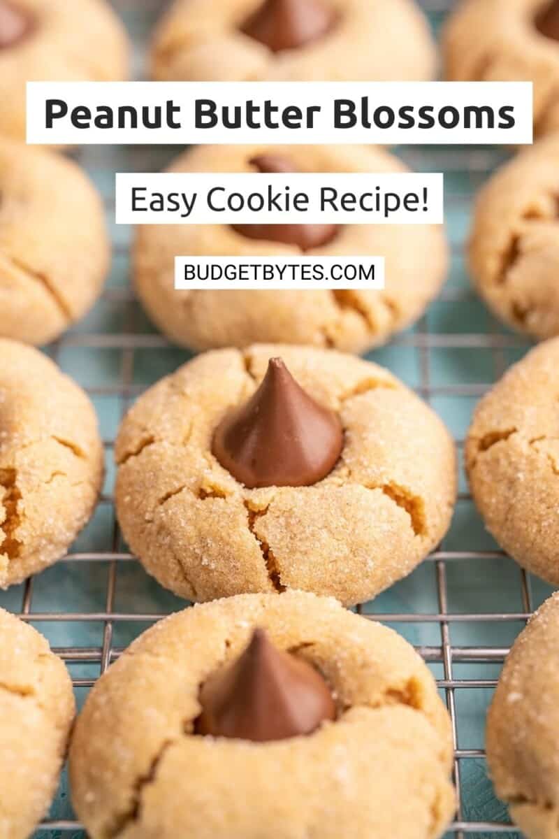 Side view of peanut butter blossoms lined up on a cooling rack.