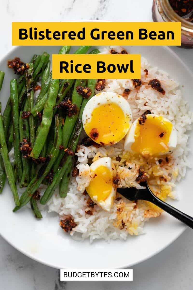 Blistered green bean rice bowl.