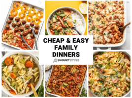 Header image for cheap and easy family dinner recipes.