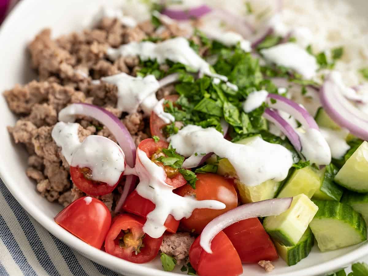 Close up side view of a Mediterranean Turkey Bowl.