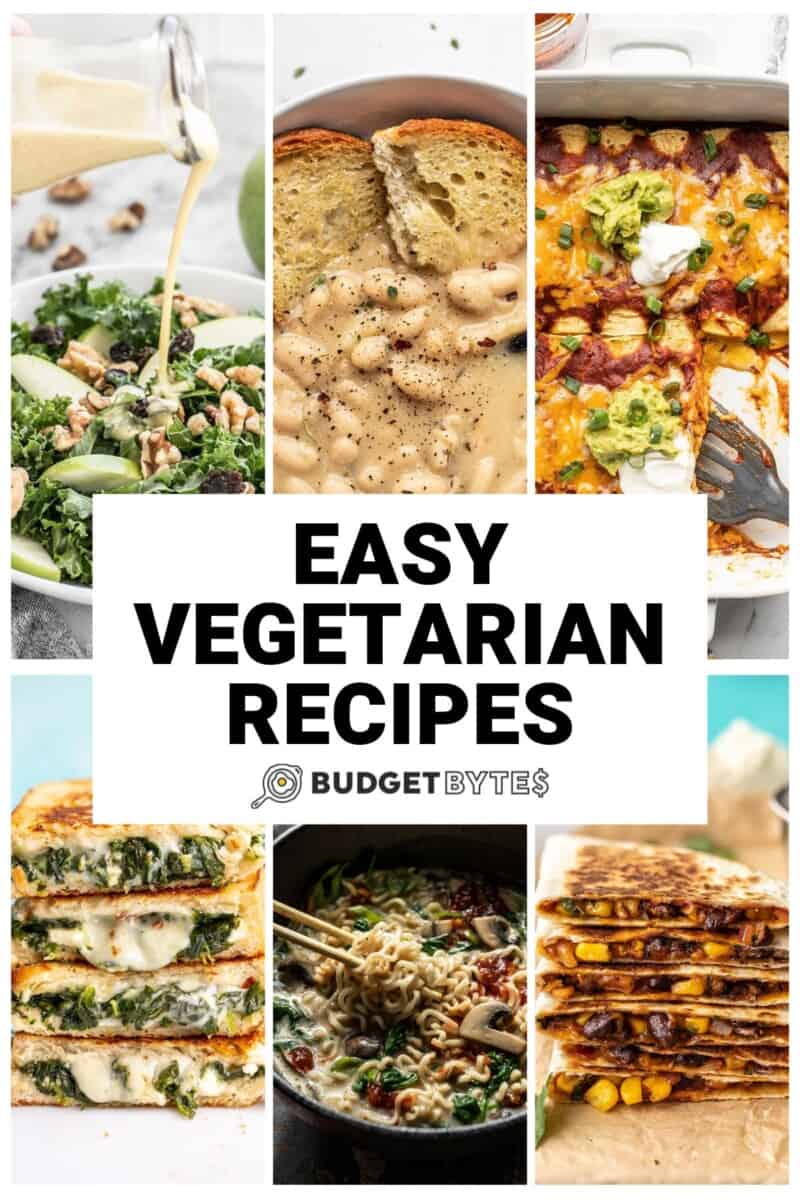 Collage of vegetarian recipe images with title text in the center.