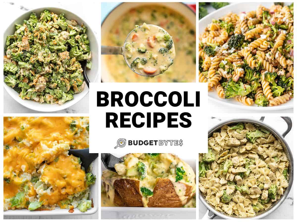 Collage of six broccoli recipes with title text in the center.