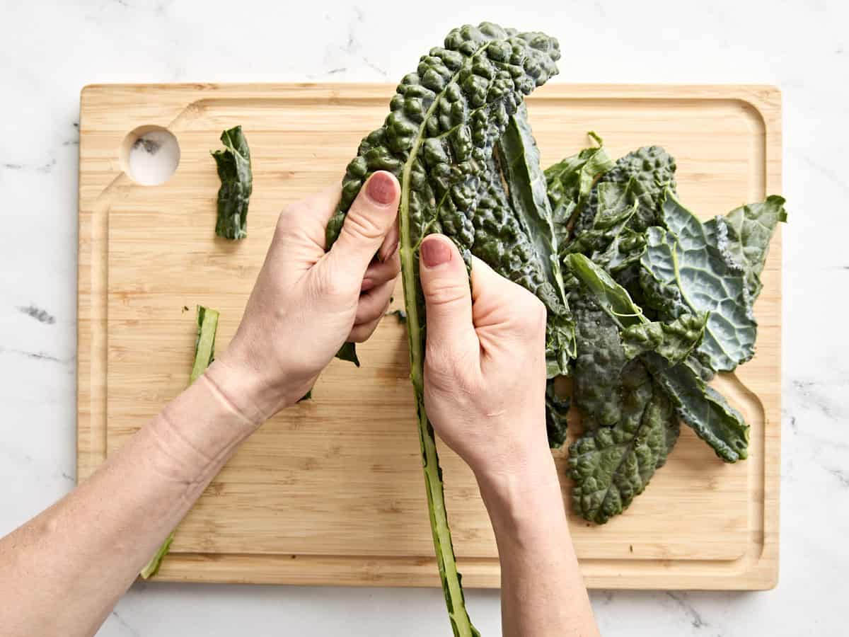 Hands removing the stems from a leaf of kale.